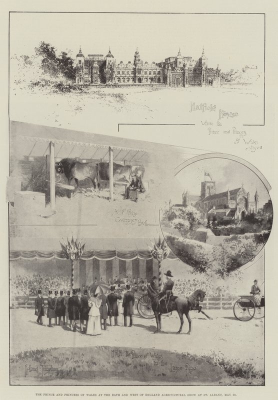 Prinsen og Prinsessen af Wales ved Bath and West of England Agricultural Show i St. Albans, 29. maj af Joseph Holland Tringham