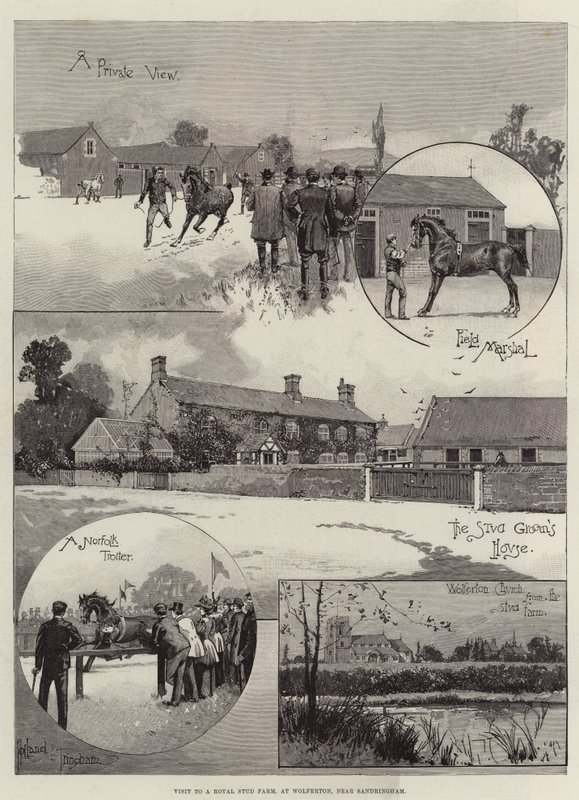 Besøg på en Royal Stud Farm, ved Wolferton, nær Sandringham af Joseph Holland Tringham