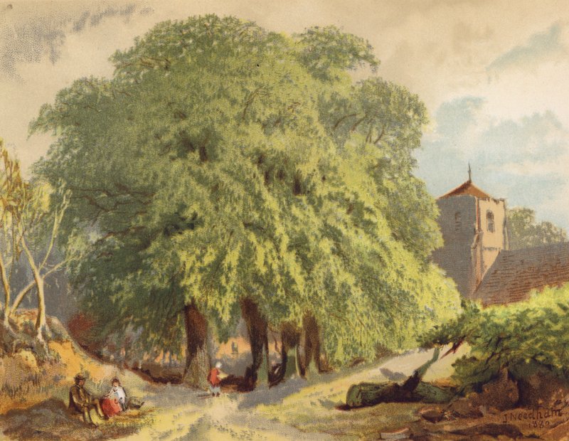 Landsbybillede, limefrugter (farvelitografi) af Joseph Needham
