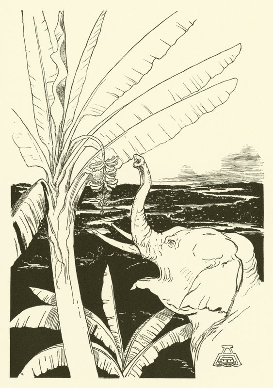 Elefantens barn skal trække bananer (gravering) af Joseph Rudyard (after) Kipling
