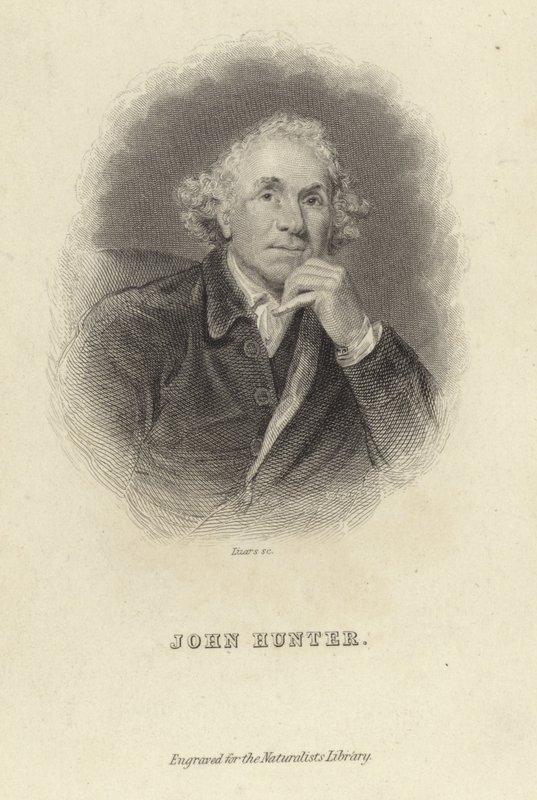 John Hunter af Joshua Reynolds
