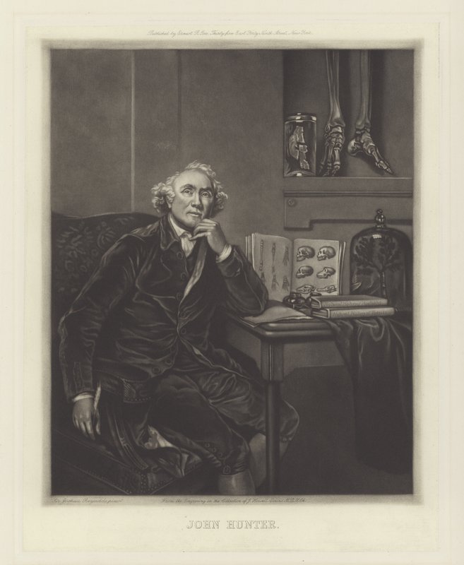 John Hunter, skotsk kirurg af Joshua Reynolds