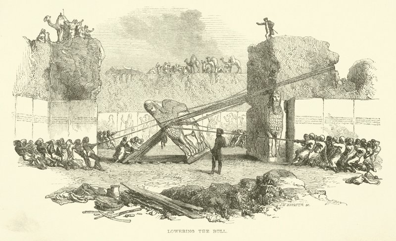 Sænkning af tyren af Josiah Wood Whymper