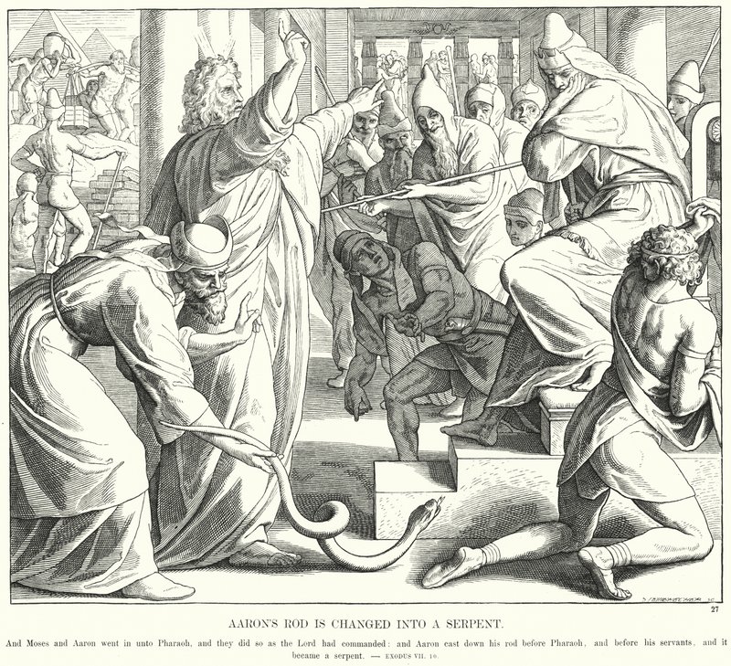 Arons stang er forvandlet til en slange (gravering) af Julius (after) Schnorr von Carolsfeld