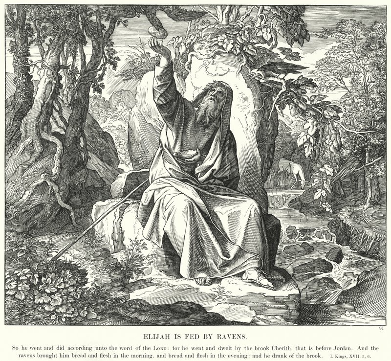 Elias bliver fodret af ravne (gravering) af Julius (after) Schnorr von Carolsfeld