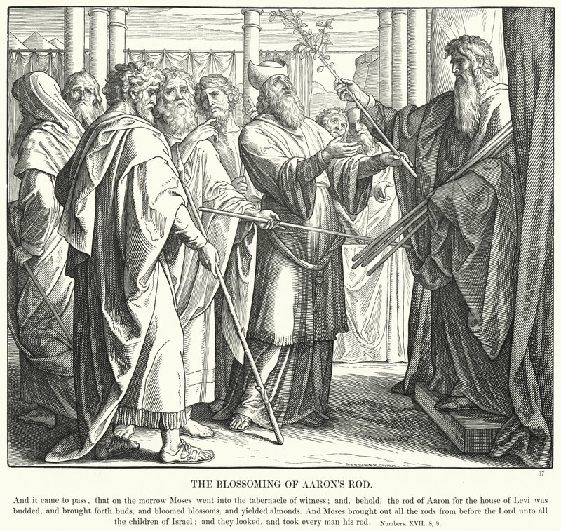 The Blossoming of Aarons Rod (gravering) af Julius (after) Schnorr von Carolsfeld