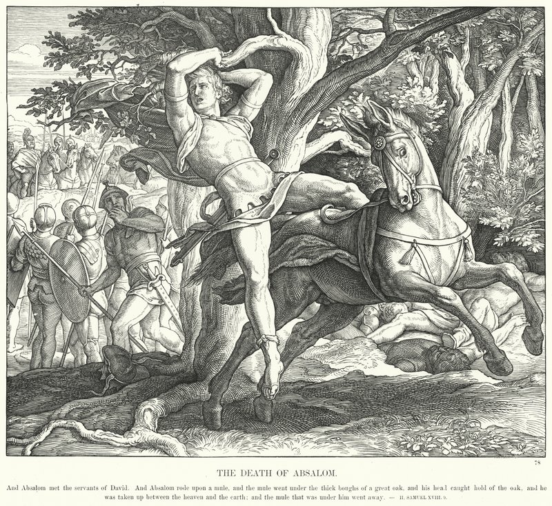 Absaloms død (gravering) af Julius (after) Schnorr von Carolsfeld