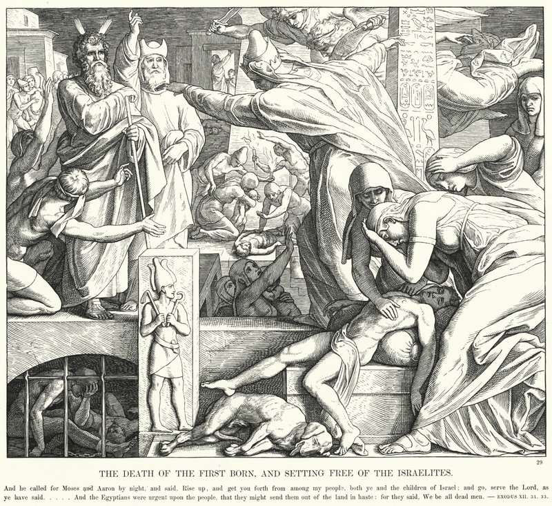 Den førstefødtes død og befrielse af israelitterne (gravering) af Julius (after) Schnorr von Carolsfeld