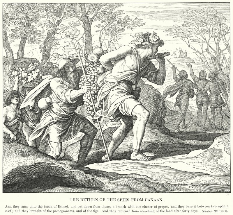 Spionernes tilbagevenden fra Kanaan (gravering) af Julius (after) Schnorr von Carolsfeld