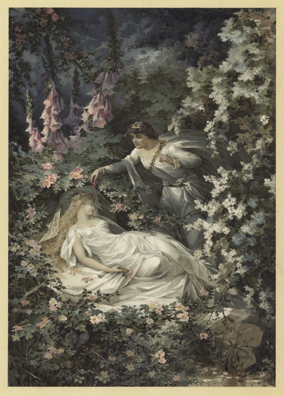 Illustration til A Midsummer Nights Dream (chromolitho) af Julius Hoeppner