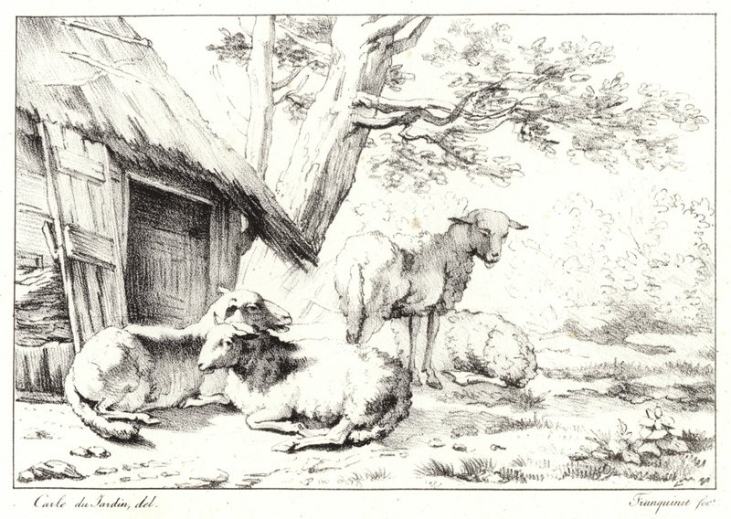 Får af Karel Dujardin