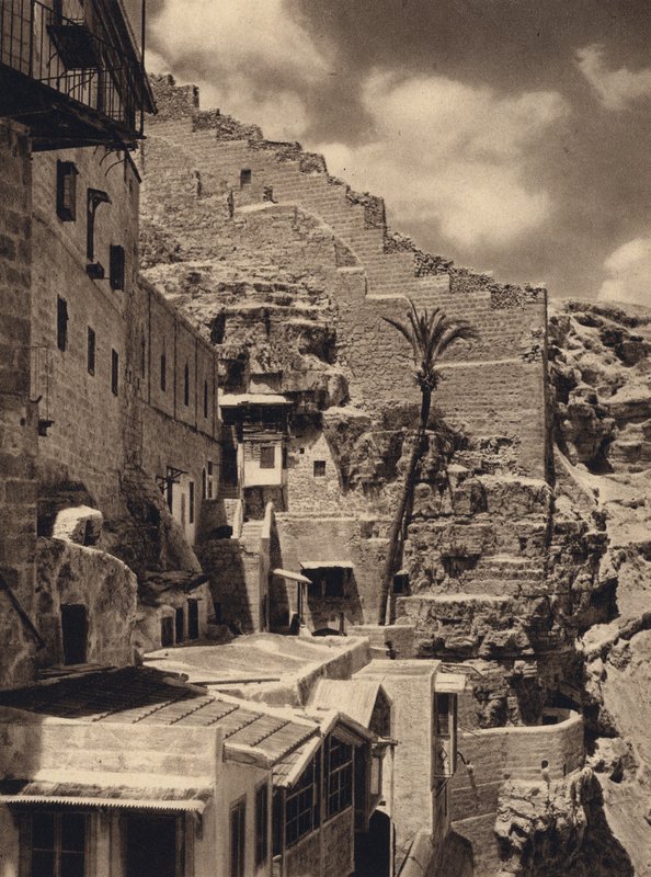 Mar Saba, Palm of St Sabas (s/h foto) af Karl Grober