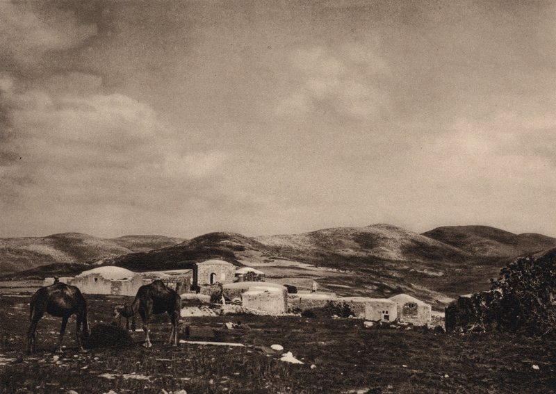 Samaria, udsigt fra ruinerne af Herodes palads (s/h foto) af Karl Grober