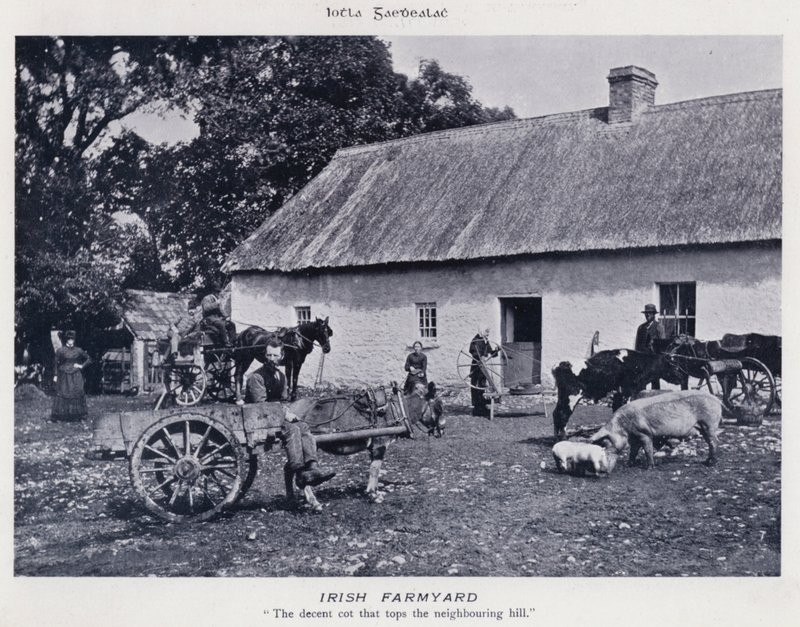 Irish Farmyard (s/h foto) af Karl Karlovich Piratsky