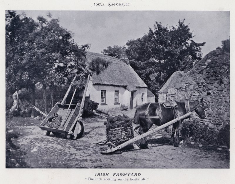 Irish Farmyard (s/h foto) af Karl Karlovich Piratsky