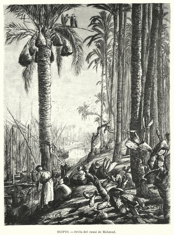 Bredden af Mahmoudiyah-kanalen, Egypten (litho) af Karl Wilhelm Gentz