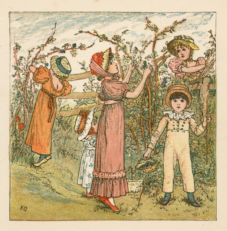 Plukker brombær af Kate Greenaway