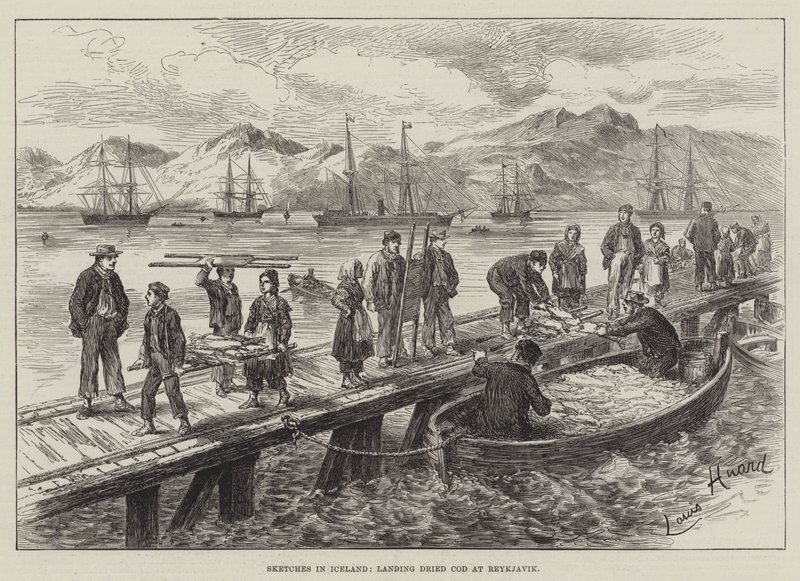 Skitser på Island, landing af tørret torsk i Reykjavik af L. Huard