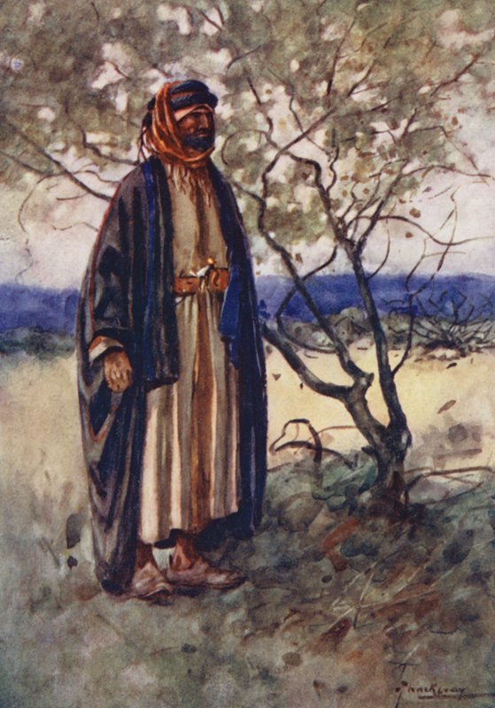 Folk i Egypten: Arabisk beduin, bedawi (farvelitografi) af Lance Thackeray