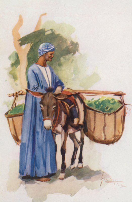 Folk i Egypten: Grøntsagssælger, Khodari (farvelitografi) af Lance Thackeray