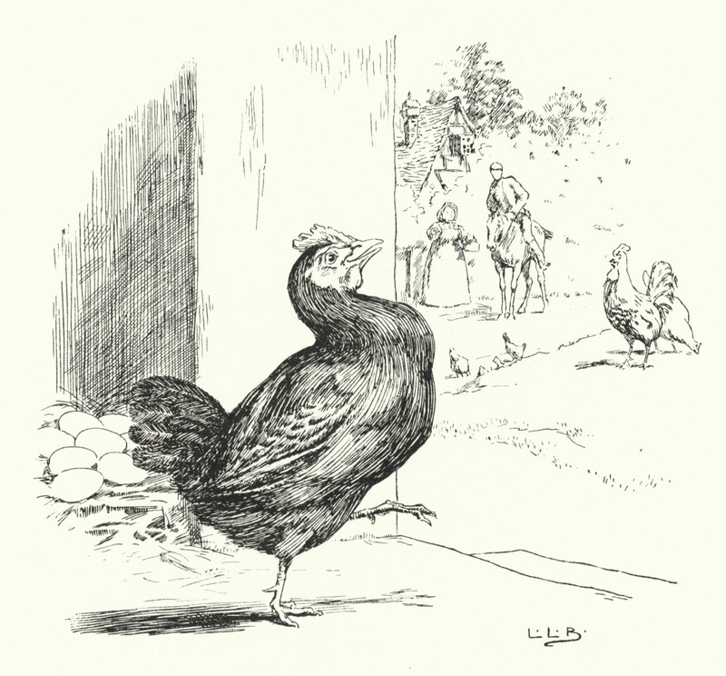 Higgly Piggly, min sorte høne (gravering) af Leonard Leslie Brooke