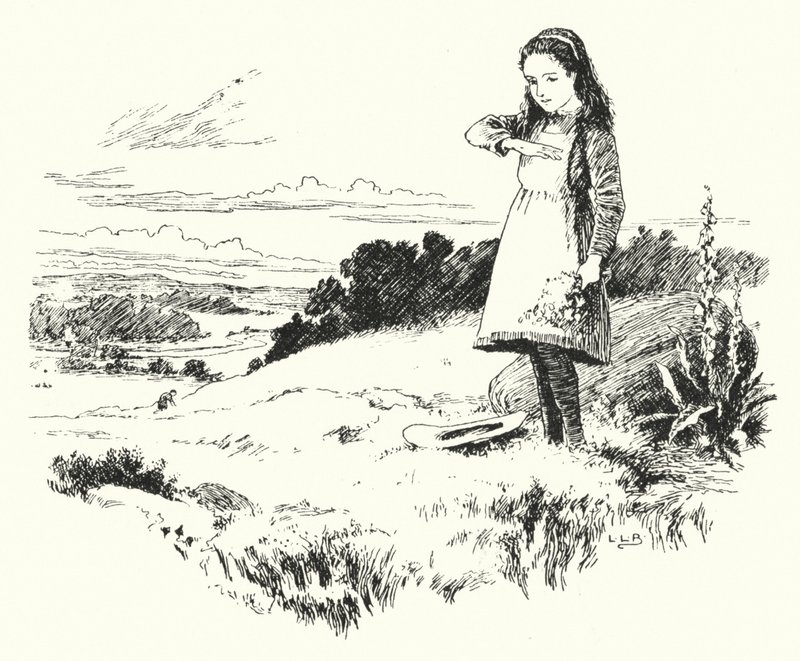 Lady bird, lady bird, flyv hjem (gravering) af Leonard Leslie Brooke