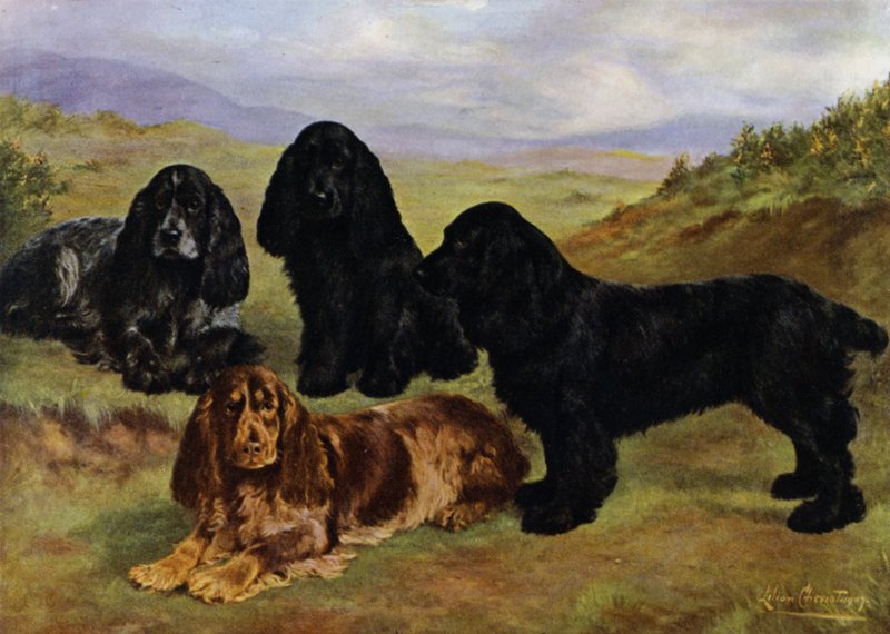 Cocker Spaniels af Lilian Cheviot