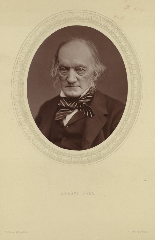 Portræt af Sir Richard Owen af Lock and Whitfield