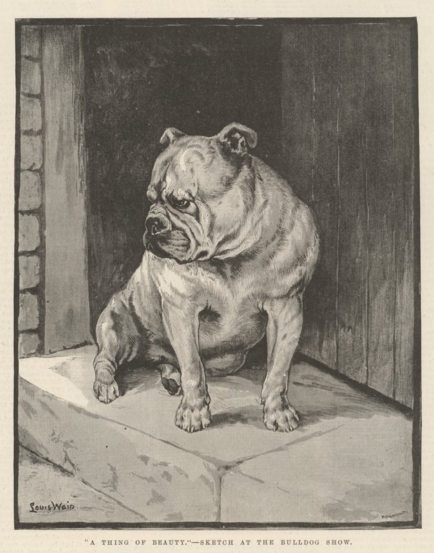 En ting af skønhed af Louis Wain
