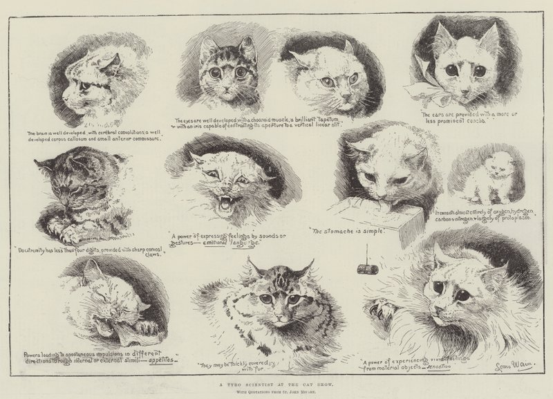 En Tyro-videnskabsmand på katteudstillingen af Louis Wain