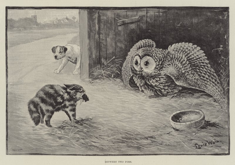 Mellem to fjender af Louis Wain
