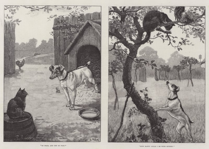 Katte og hunde af Louis Wain