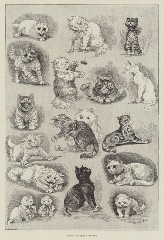 Killingeliv på katteudstillingen af Louis Wain