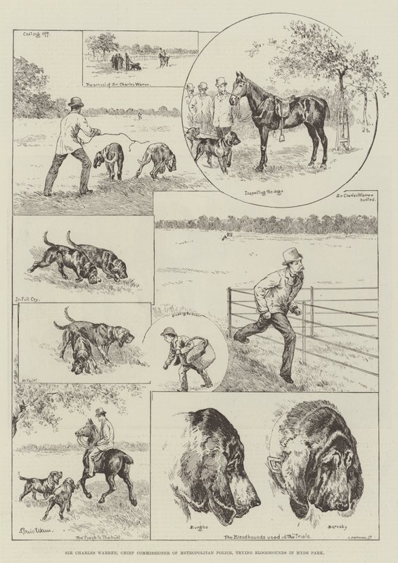 Sir Charles Warren, chefkommissær for Metropolitan Police, prøver Bloodhounds i Hyde Park af Louis Wain
