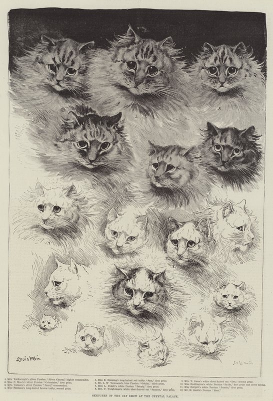 Skitser af Cat Show i Crystal Palace af Louis Wain