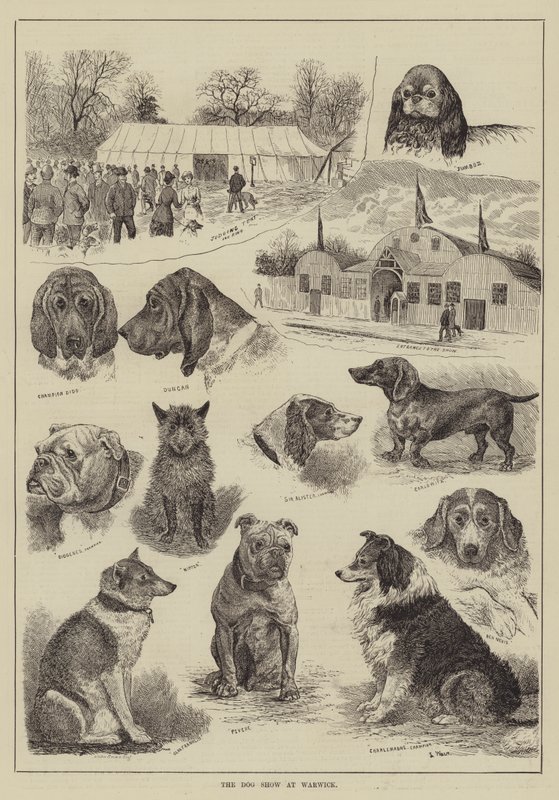 Hundeudstillingen i Warwick af Louis Wain