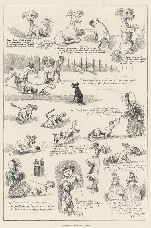 Den tragiske historie om mit liv af Louis Wain