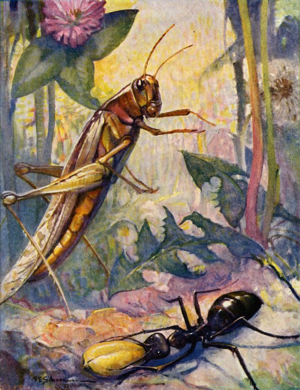 The Ant and the Grashopper (farvelitografi) af Louis John Rhead