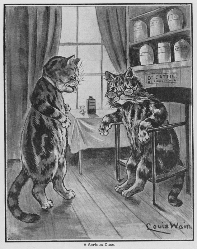 En alvorlig sag (gravering) af Louis Wain
