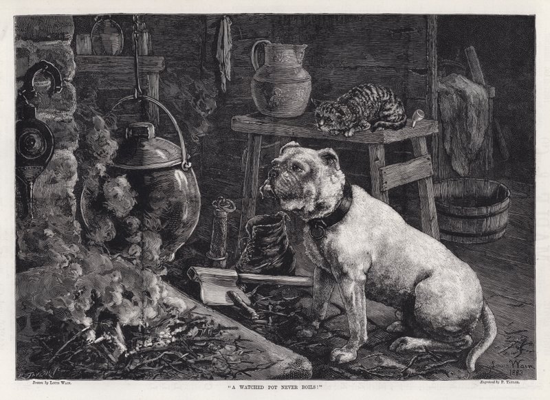 "En overvåget gryde koger aldrig!" (gravering) af Louis Wain