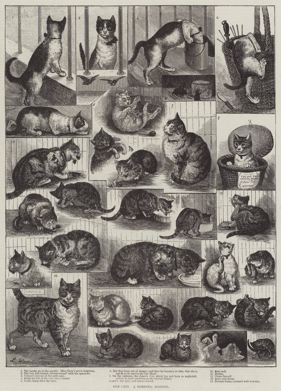 Vores katte, en hushistorie af Louis Wain