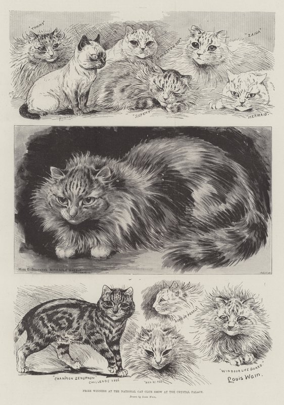 Prisvindere ved National Cat Club Show i Crystal Palace af Louis Wain