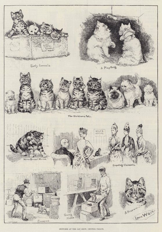 Skitser på Cat Show, Crystal Palace af Louis Wain