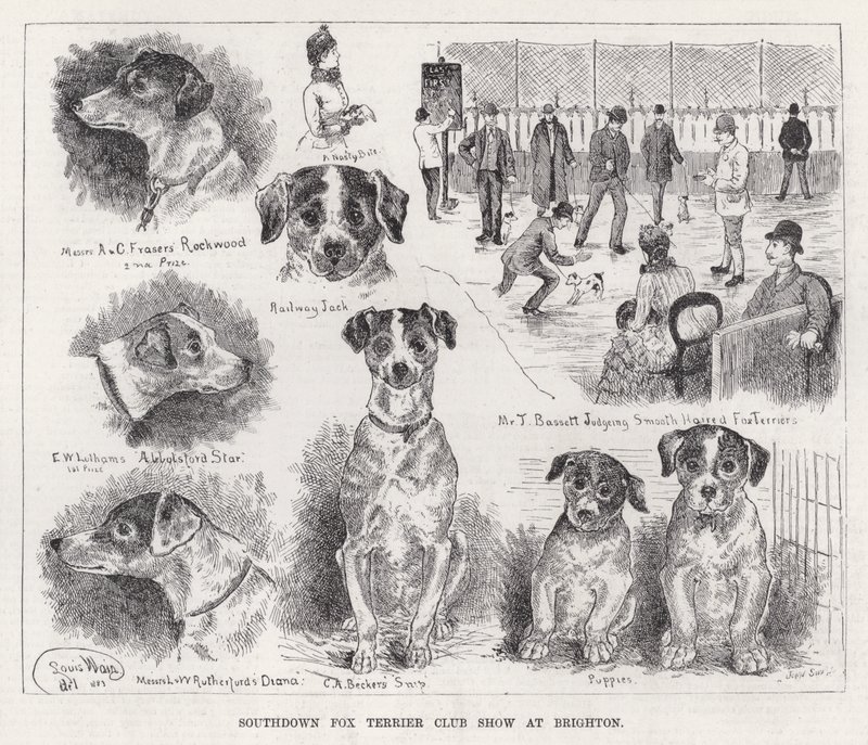 Southdown Fox Terrier Club Show i Brighton (gravering) af Louis Wain