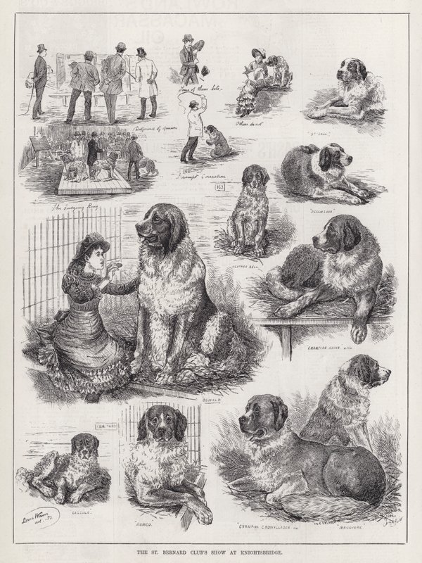 St Bernard Club