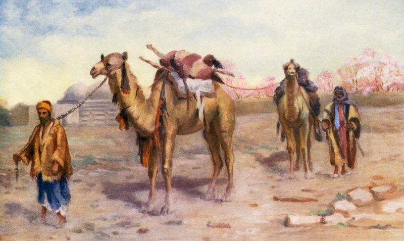 Kameler og kuske uden for Damaskus (farvelitografi) af Margaret Thomas