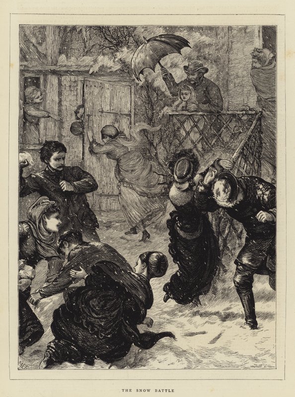 Snekampen af Mary Ellen Edwards