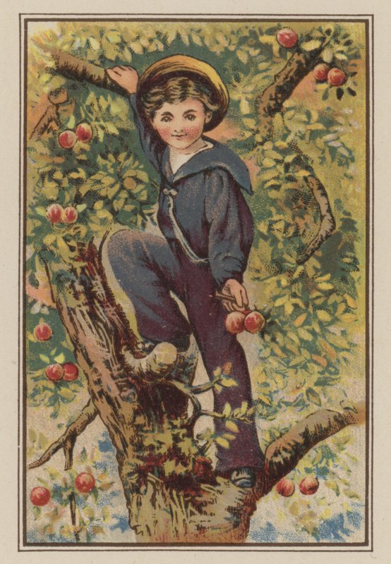 Dreng klatrer i æbletræ (chromolitho) af Mary Ellen Edwards