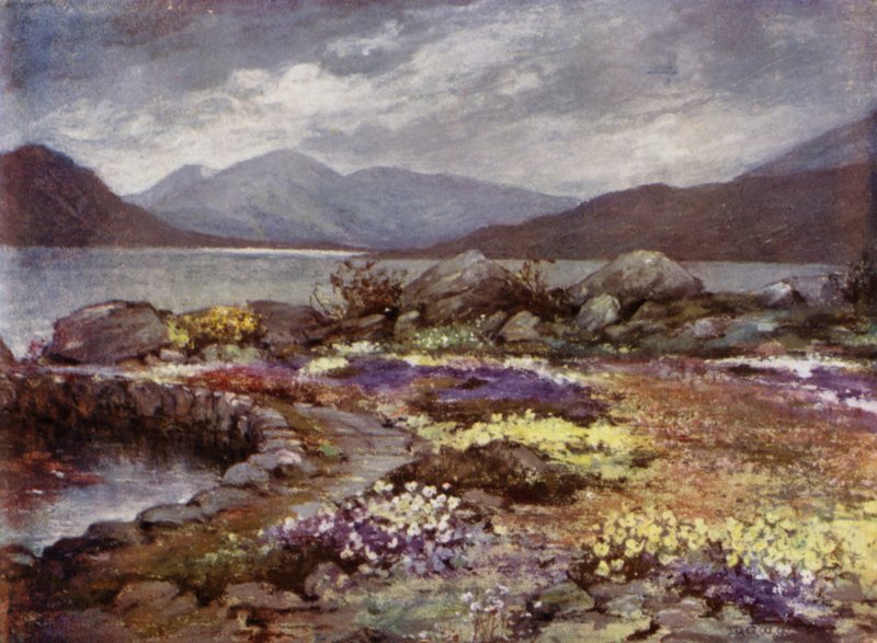 Scottish Gardens: Corrour (farve litho) af Mary Georgina Wade Wilson