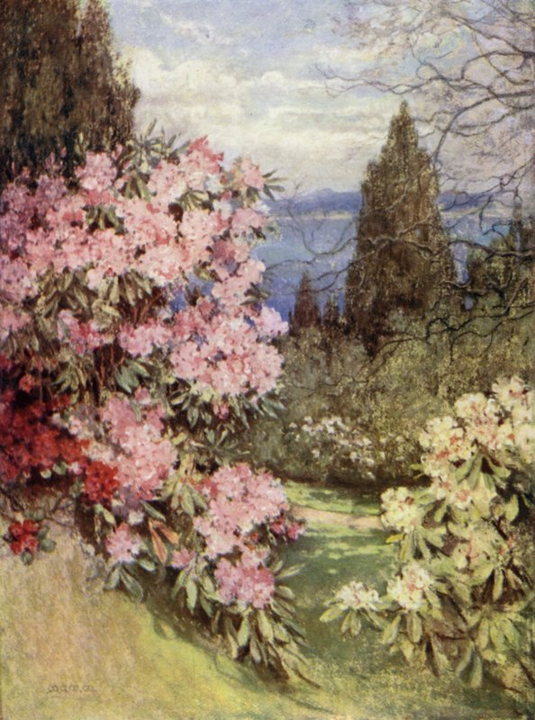 Scottish Gardens: Stonefield af Mary Georgina Wade Wilson